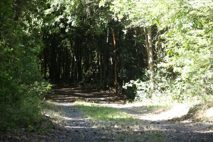 The park · Kari Mapu Park, Pucón