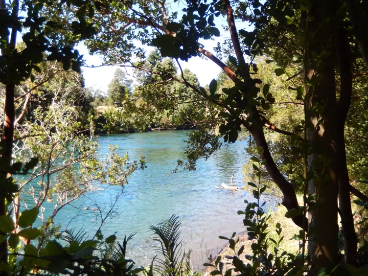 The park · Kari Mapu Park, Pucón
