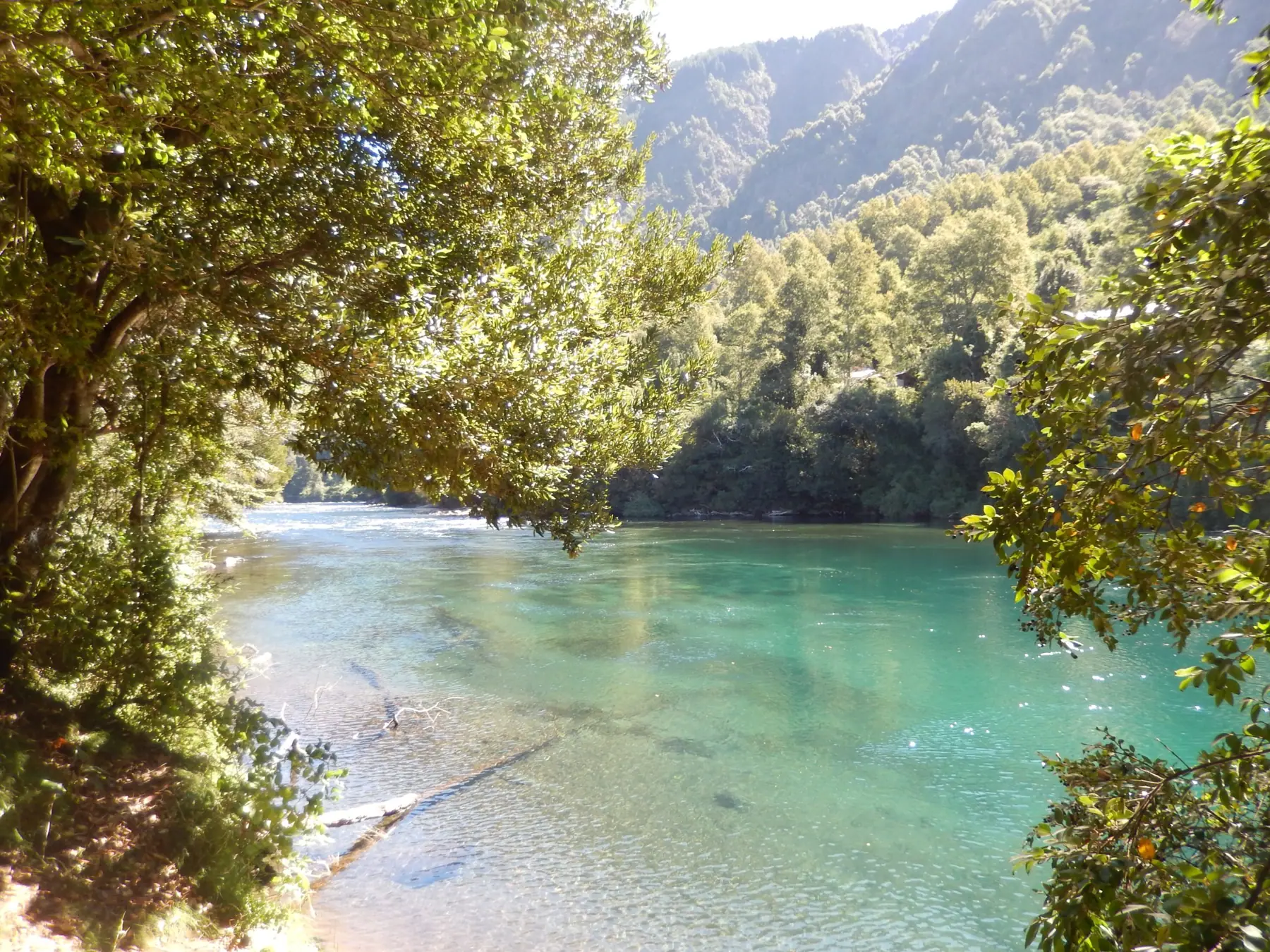 Kari Mapu Park Cabins · río Liucura