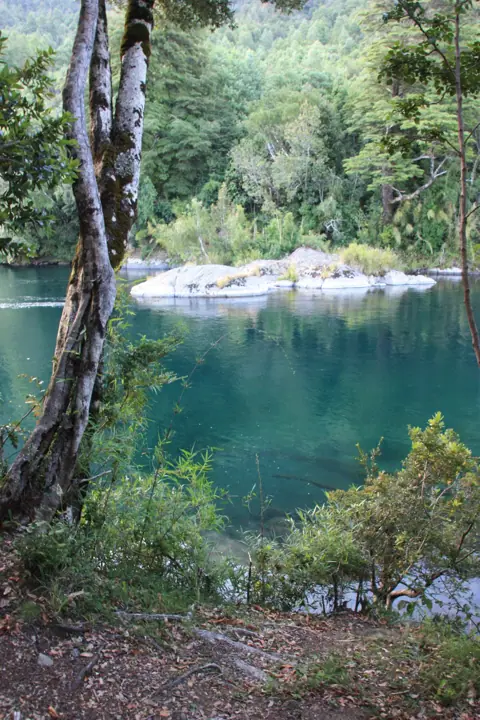 The park · Kari Mapu Park, Pucón