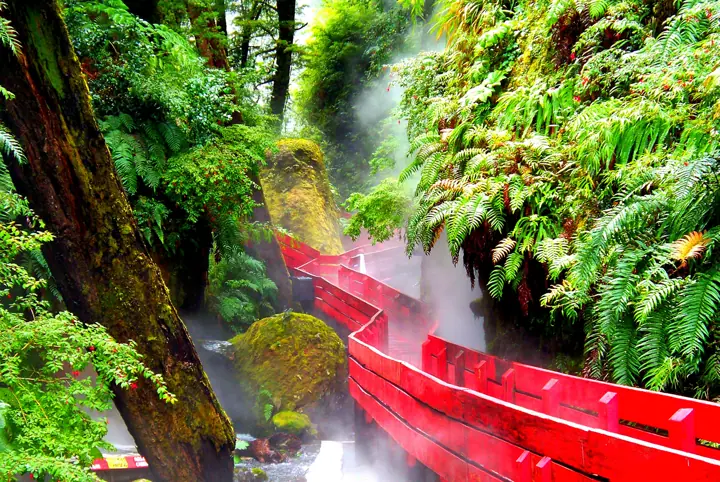 Termas Geométricas